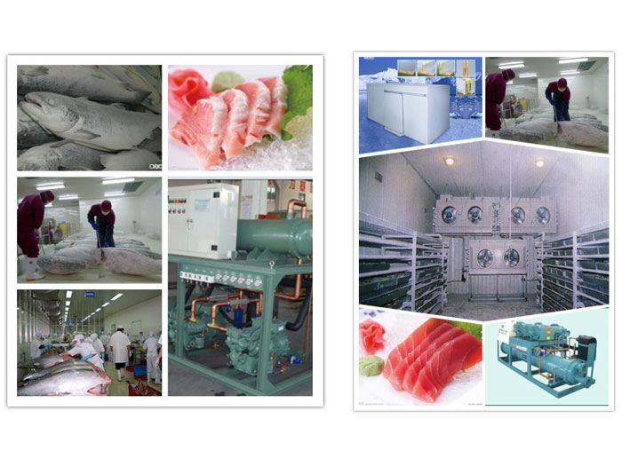 金枪鱼冷库 金枪鱼冷库